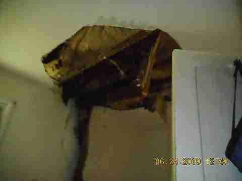 19458 Hasse (14)_m.jpg